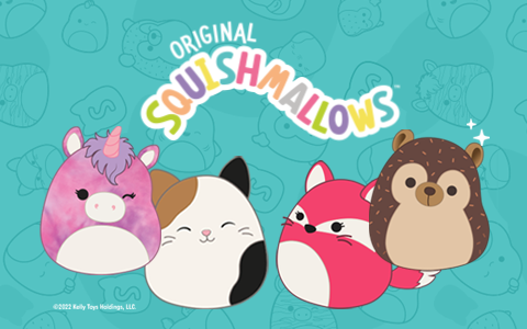 squishmallows banner