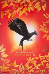 Catching fire