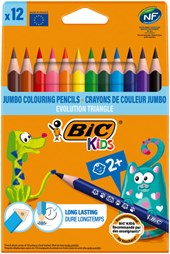 BIC Kids 12 Triangular Colouring Pencils Evolution