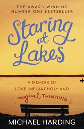Staring at lakes