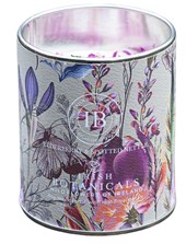 Irish Botancials Elderberry and Spotted Nettle Tin Candle